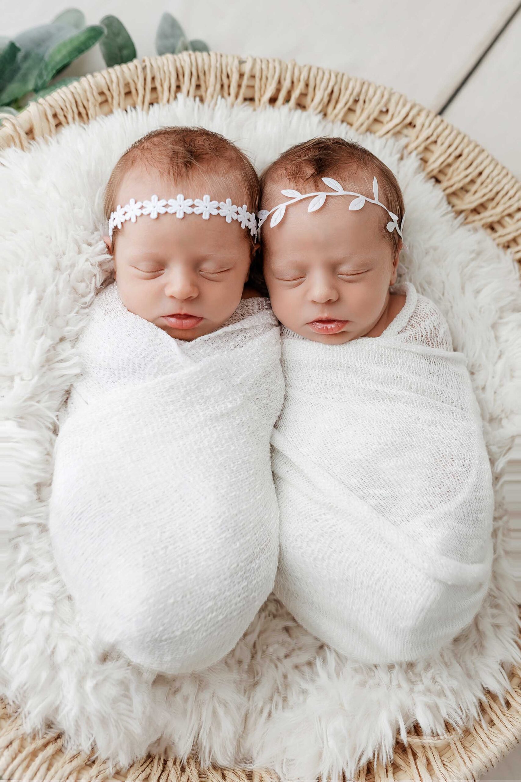Southern California twins newborn photographer